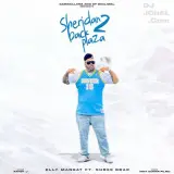 Sheridan Back Plaza 2
