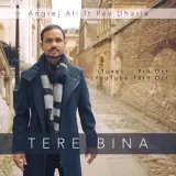 Tere Bina
