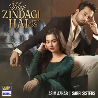 Meri Zindagi Hai Tu