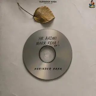 Hr Aadmi Marr Reha !