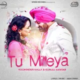Tu Milleya