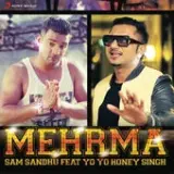 Mehrma Ft. Yo Yo Honey Singh