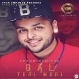 Gal Teri Meri