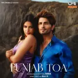 Punjab Toa