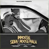 Immortal Sidhu Moose Wala