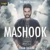 Mashook