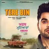 Tere Bin (Ardab Mutiyaran)