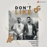 Dont Like Ft. Karan Aujla