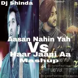 Haar Jaani Aa Vs Aasan Nahin Yahan Mashup