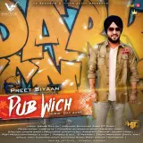 Pub Wich