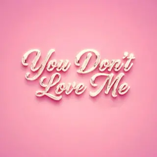 You Dont Love Me