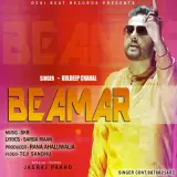 Beamer