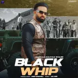 Black Whip