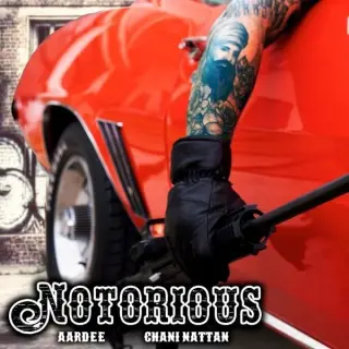 Notorious Ft. Chani Nattan