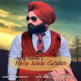 Mere Wala Sardar