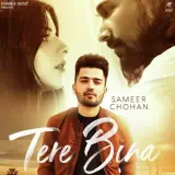 Tere Bina