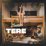 Tere Bina Acoustic