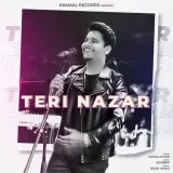 Teri Nazar