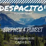 Despacito Punjabi (Refix)