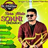 Tere Nalo Sohni Remix