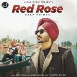 Red Rose