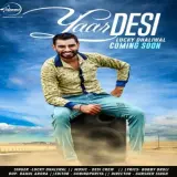 Yaar Desi