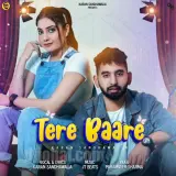 Tere Baare