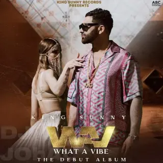 WAV (WHAT A VIBE)