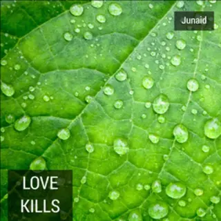 Love Kills