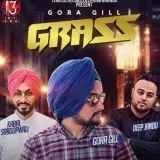 Grass