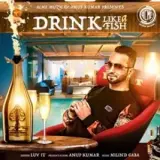 Drink Like a Fish