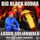 Big Black Kobra