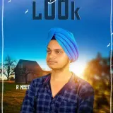 DESI LOOK