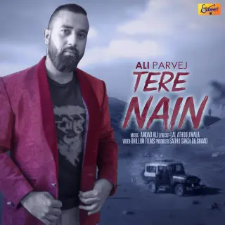 Tere Nain