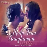 Main Tenu Samjhawan (Reprise)