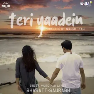 Teri Yaadein