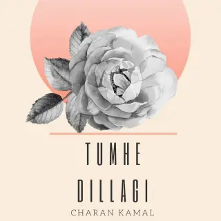 tumhe dillagi remix