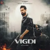 Vigdi