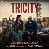 TRICITY