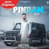 Pindan Wale