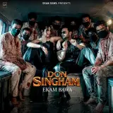 Don Singham