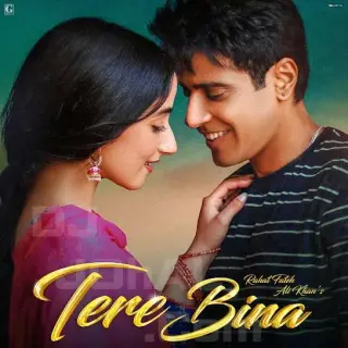 Tere Bina (Lover)