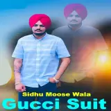 Gucci Suit
