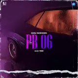 PB 06
