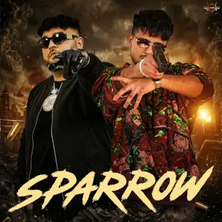 Sparrow