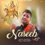 Naseeb