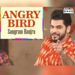 Angry Bird