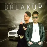 Breakup Ft. Arora Saab
