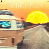 Picture Perfect