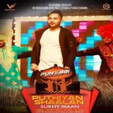Puthiyan Shaalan